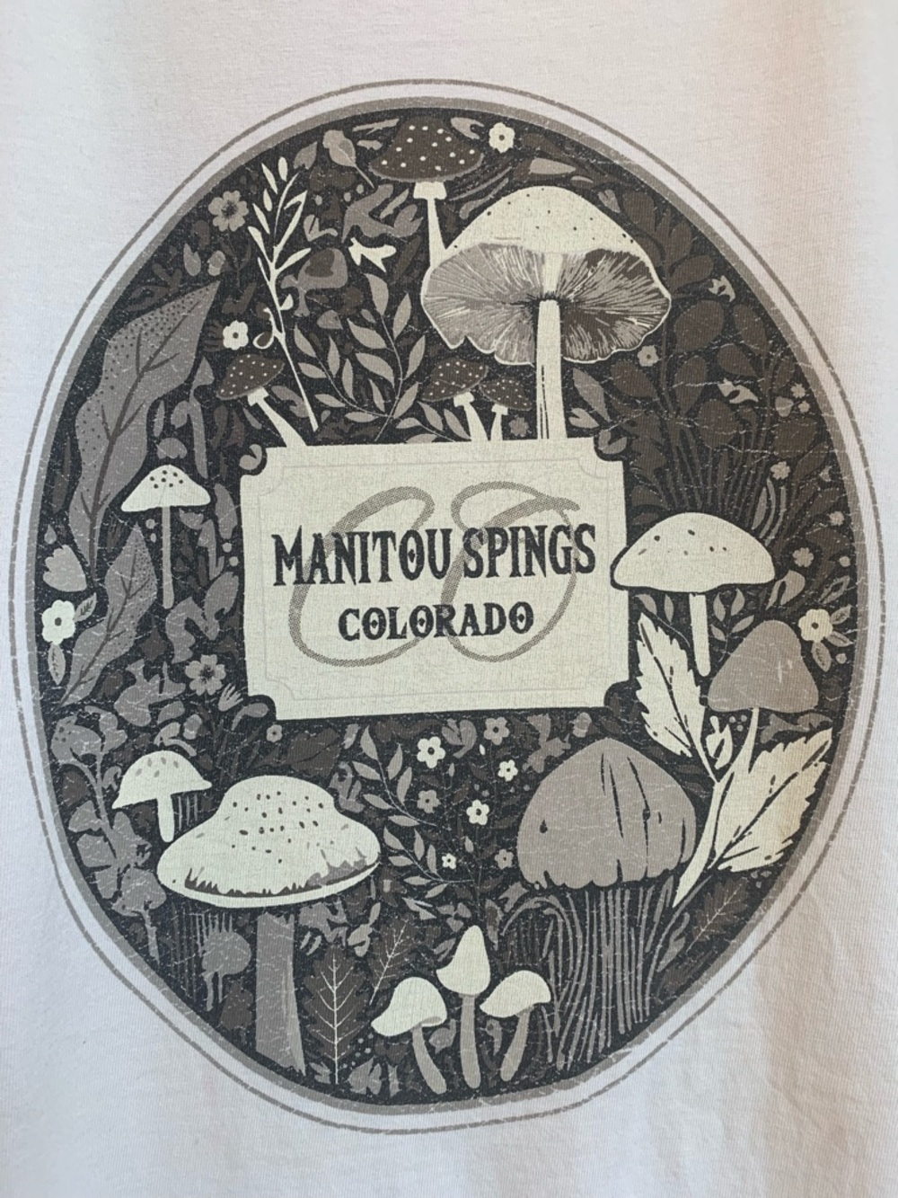 TECHSTYLES MANITOU SPRINGS COLORADO Mushroom Forest Off White Mens Tee Shirt XXL